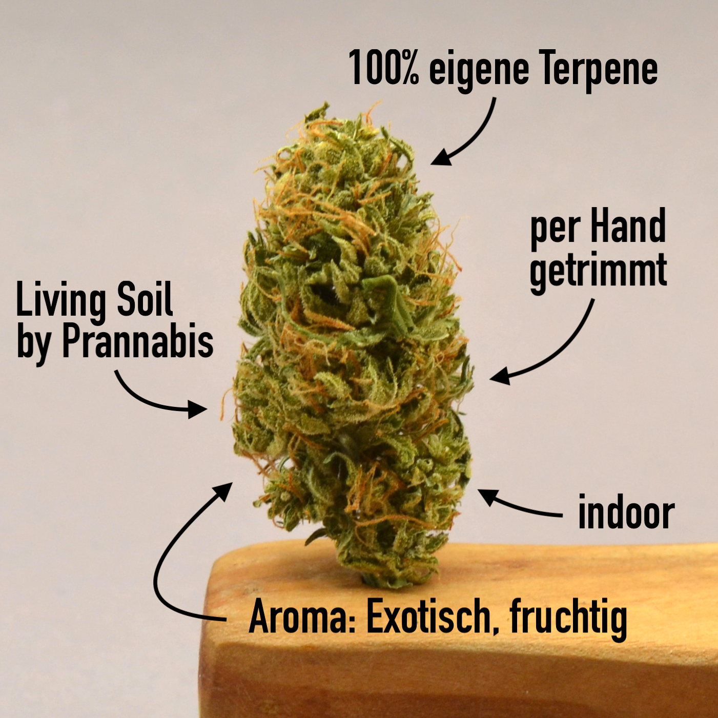 Passio2 Passio | Terpen- und CBD-reiche Hanfblüten – Bild 1